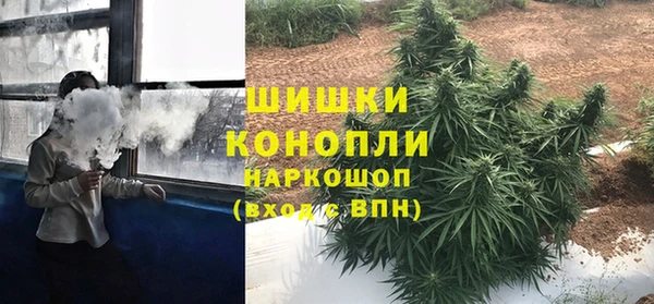 сатива Арсеньев