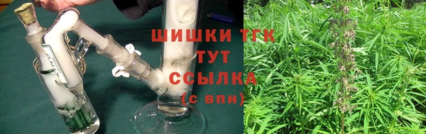 сатива Арсеньев