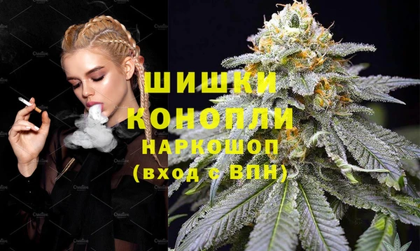 сатива Арсеньев